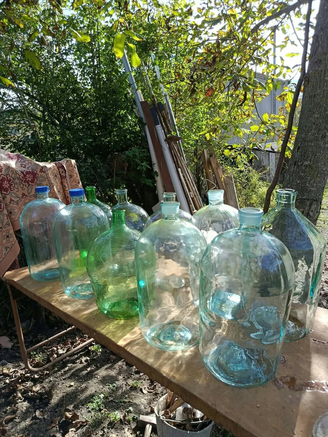 10 Mini Demijohns