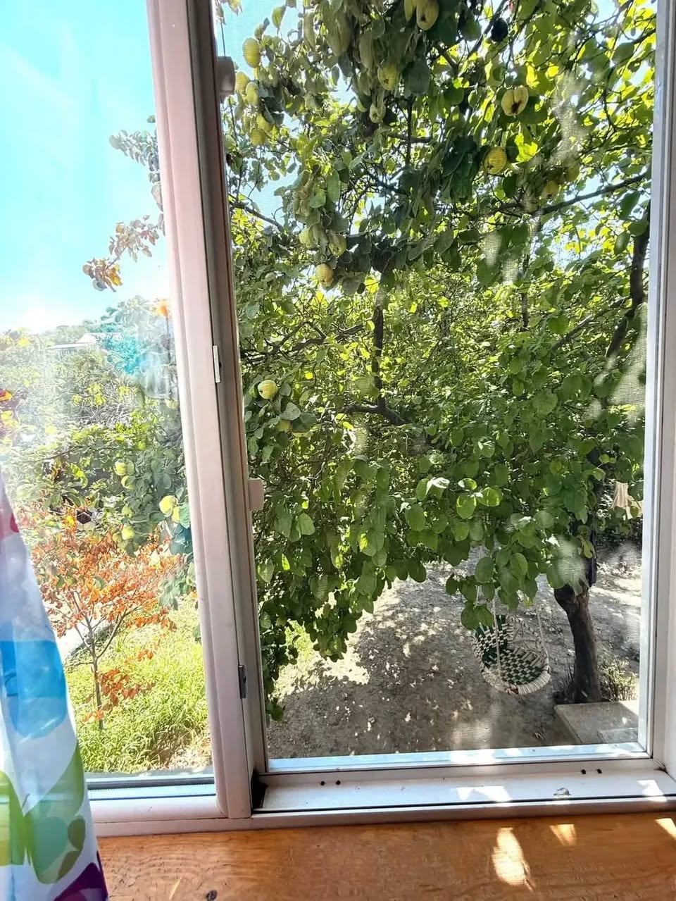 Տուն, Թբիլիսի