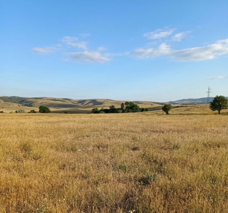 Land plot, Tbilisi