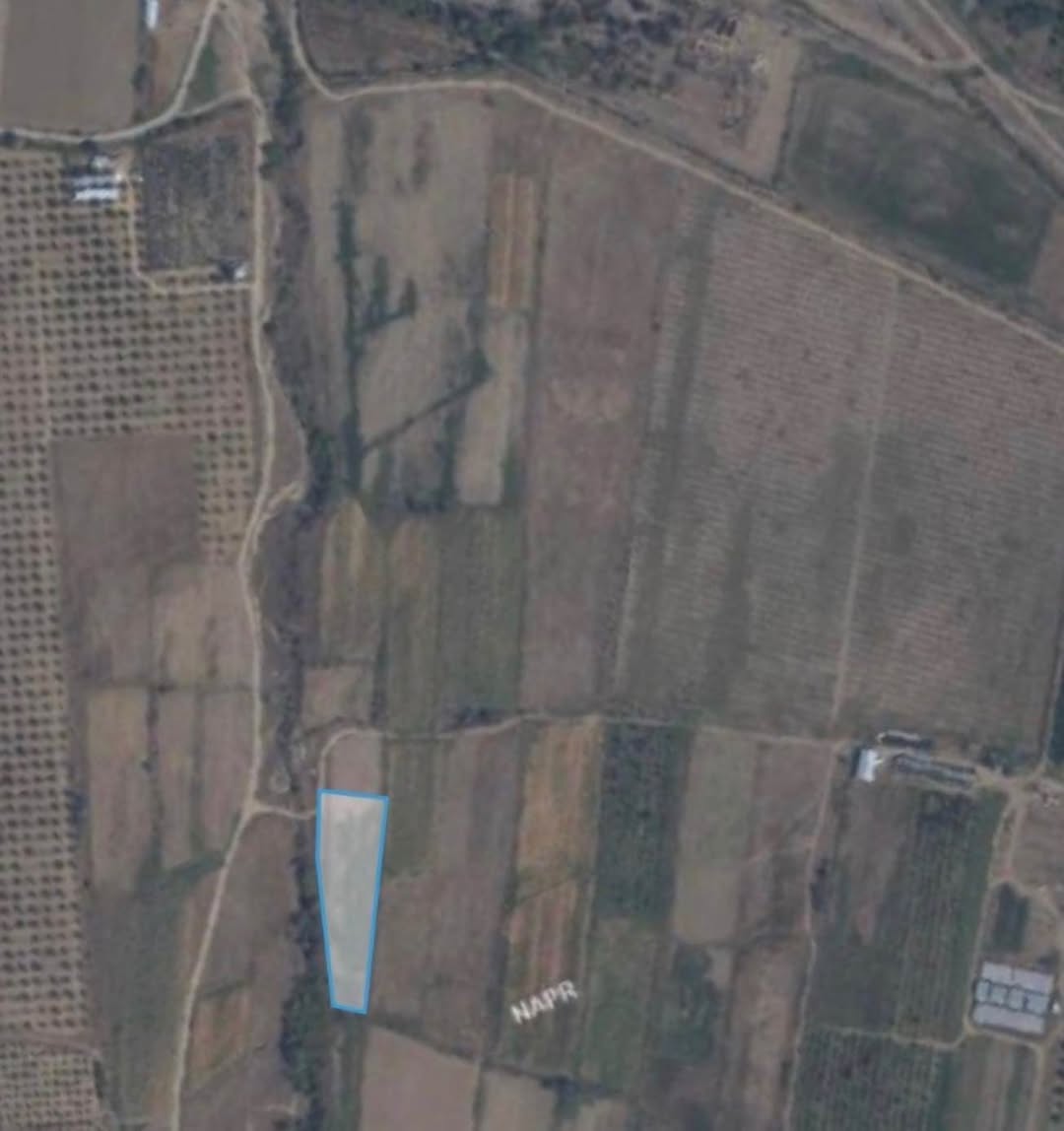 Kaspi köyü Hovle arazisi 5.500m2 fiyatı