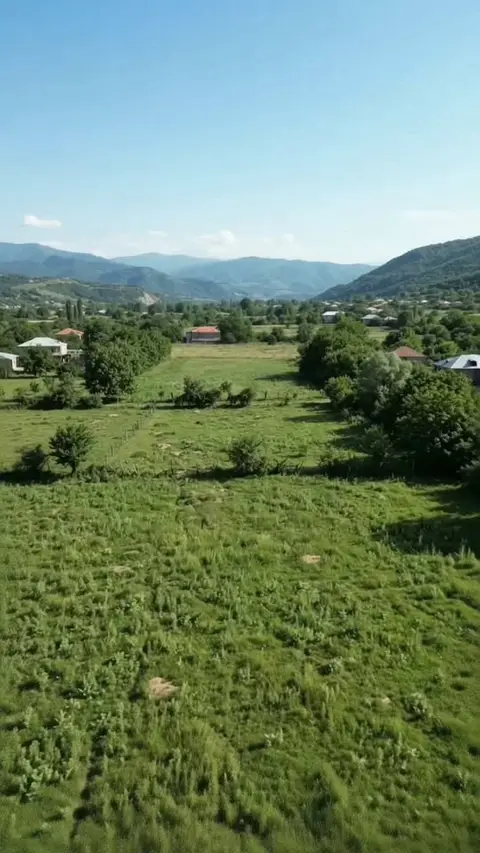 Arazi, Tianeti — $12,500