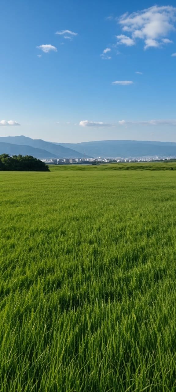 🏡 Վազիանում 1 հեկտար հող է վաճառվում — 10$