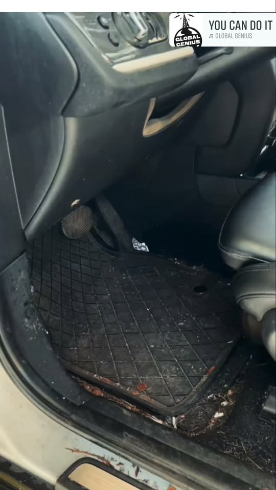 Химчистка автомобилей и мягкой мебели в Ахалцихе