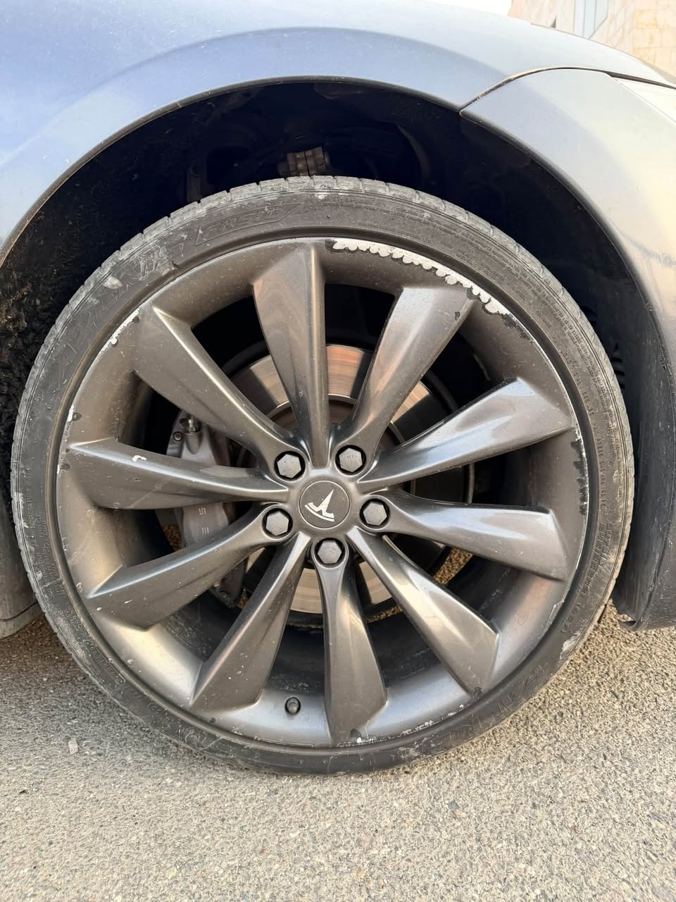 Tesla Model S Performance banajner R21