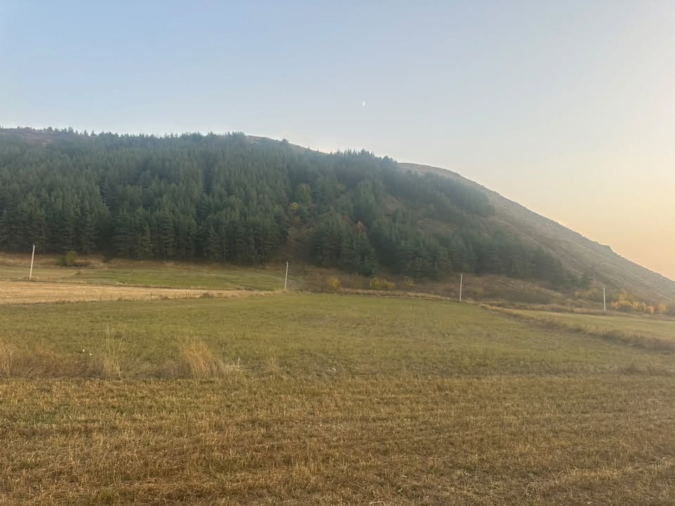 Հողատարածք Եղիպատրուշում, 5540 մ²