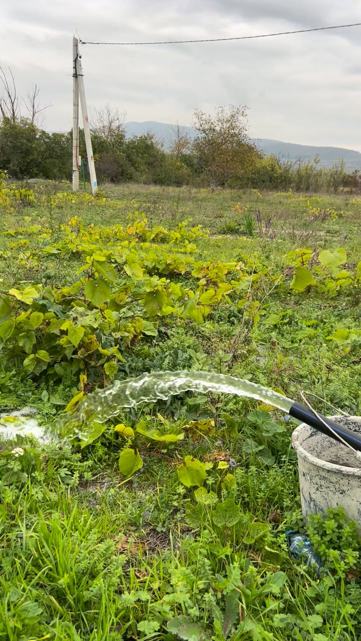 Toprak Parçası, Tiflis — $15
