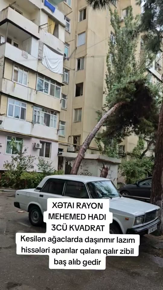 Araç