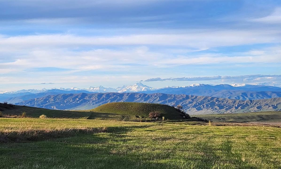 Torpaq — 20դոլամերիկակ