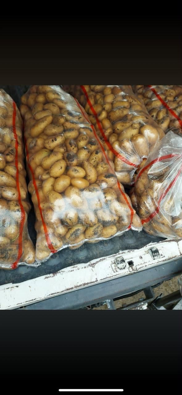 🥔 მოვიდა ახალი პარტია კარტოფილი! 📍 — 55₾