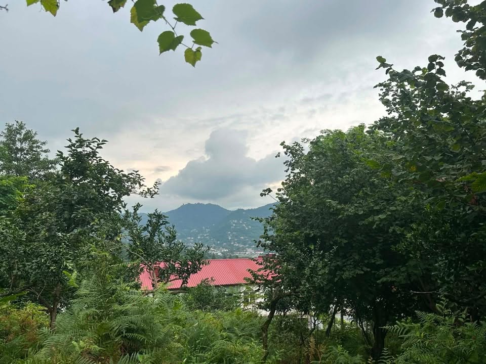 Torpaq sahəsi, Batumi — $75