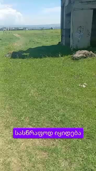 Հողակտոր, Թբիլիսի — $12,000