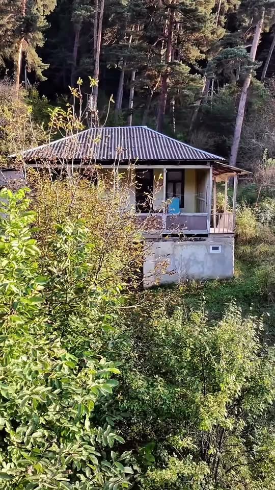 🏘️ი_ყ_ი_დ_ე_ბ_ა🍀 🌲 Дом у леса в Боржоми
