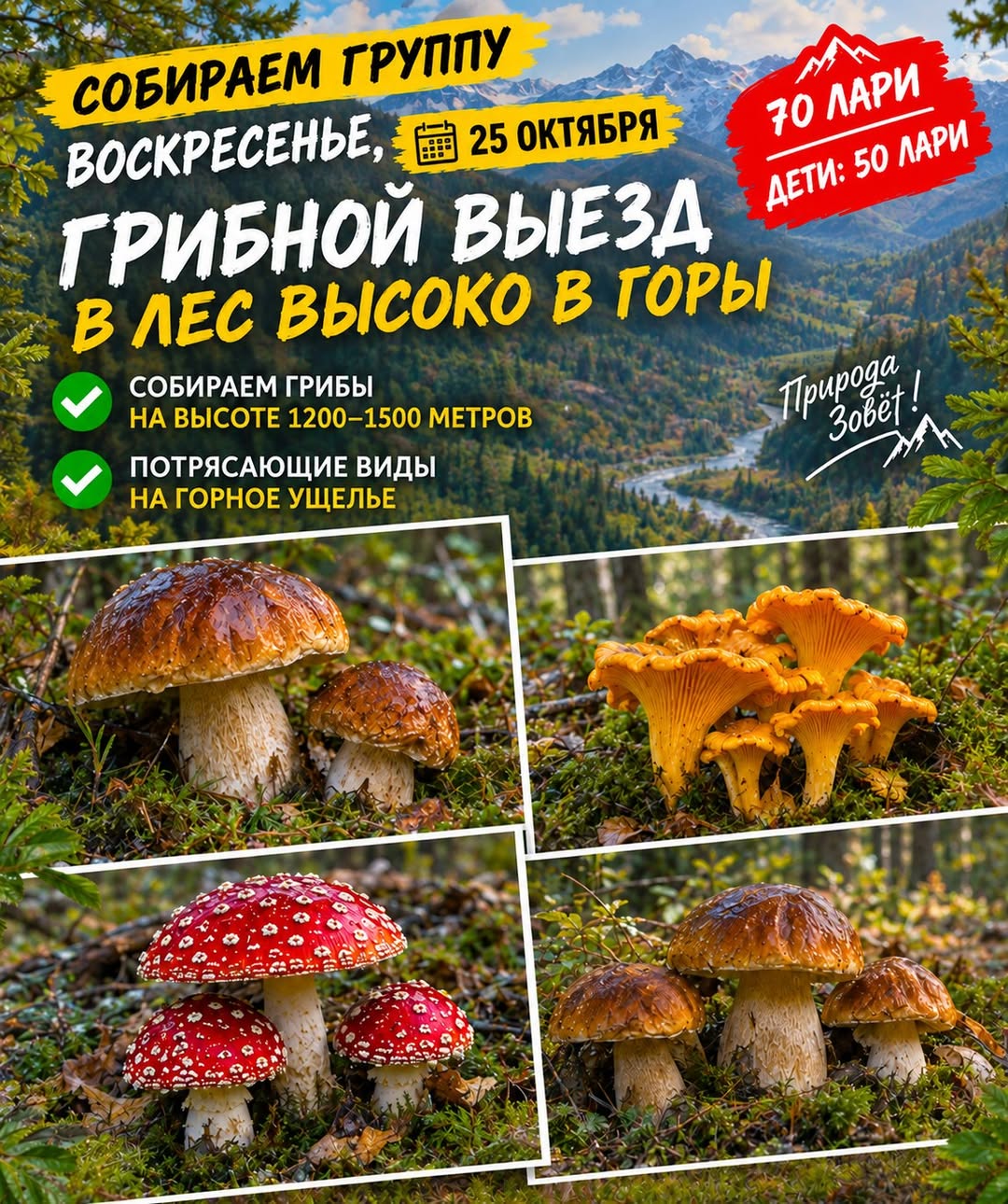 💥💥💥 BAZAR, 25 OKTYABR ❤️ QİRBONOJ