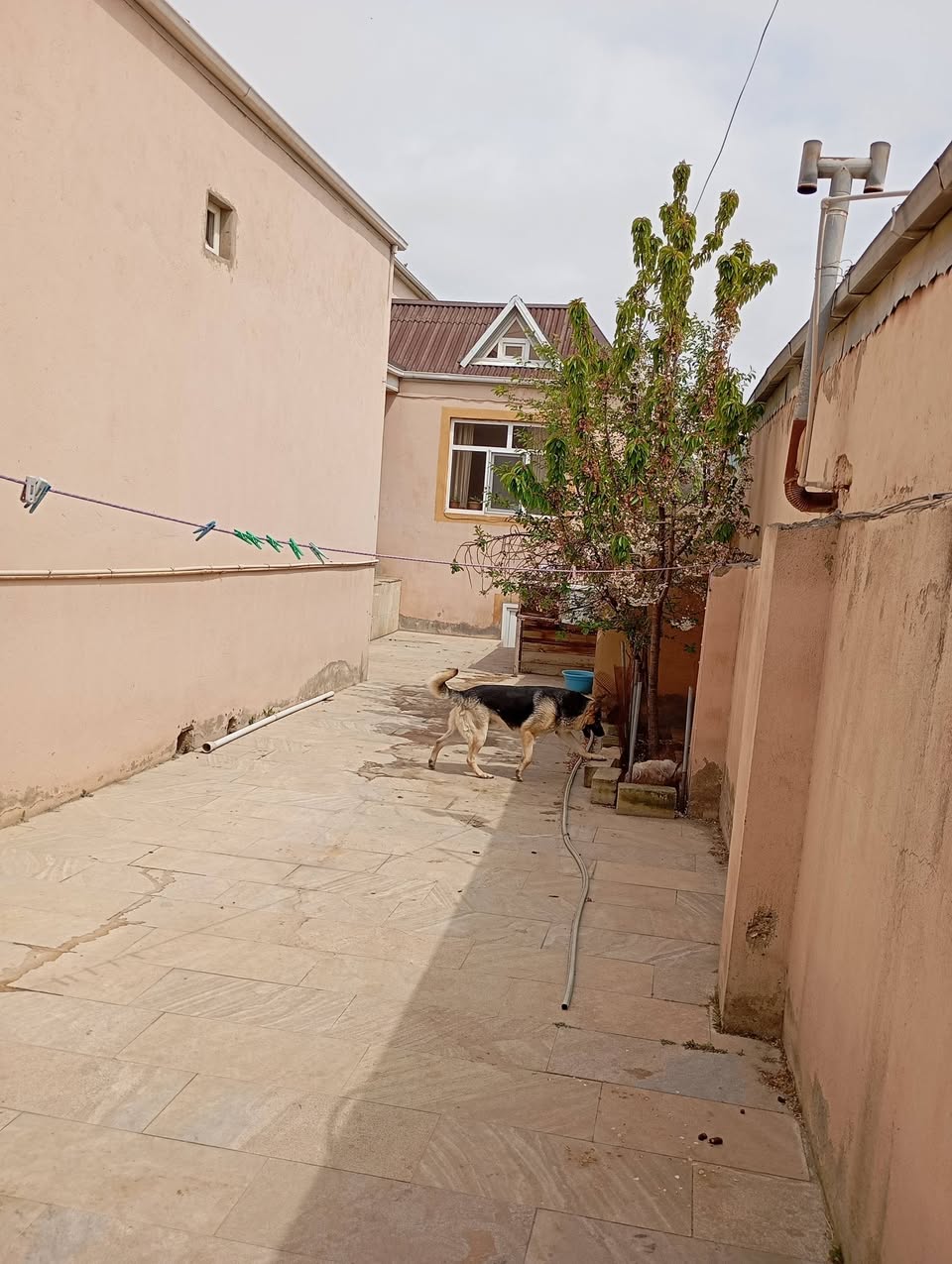 Həyət evi, Bakı — 95,000 ₼