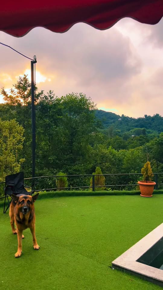 Discover complete tranquility at Forestside Cottage