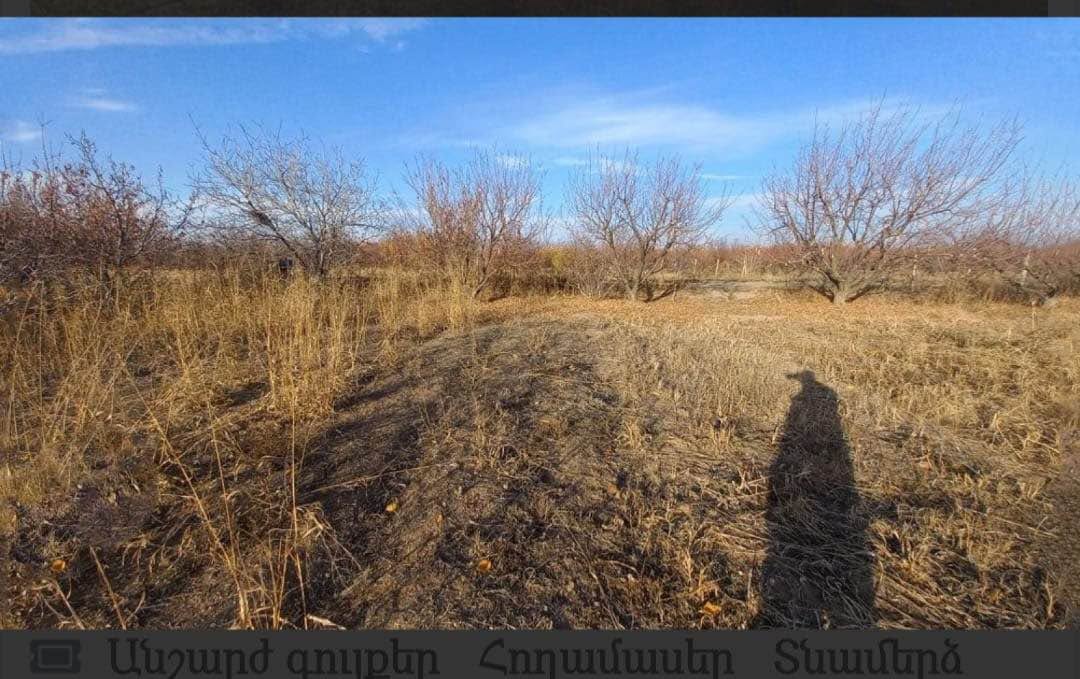Տնամերձ հող 1540 քմ, Արմավիր