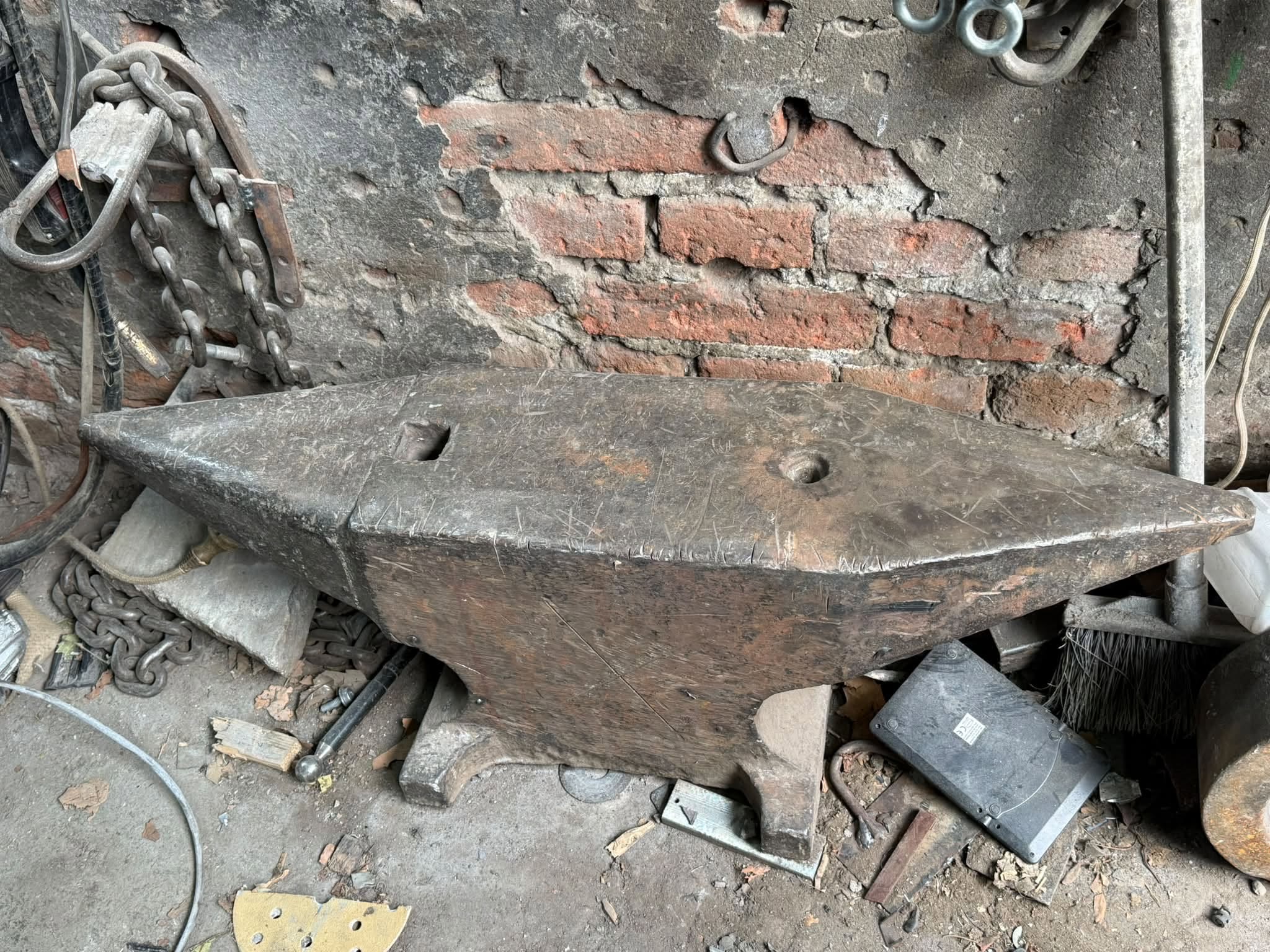 Satılık kedi fiyatı 1000 lari