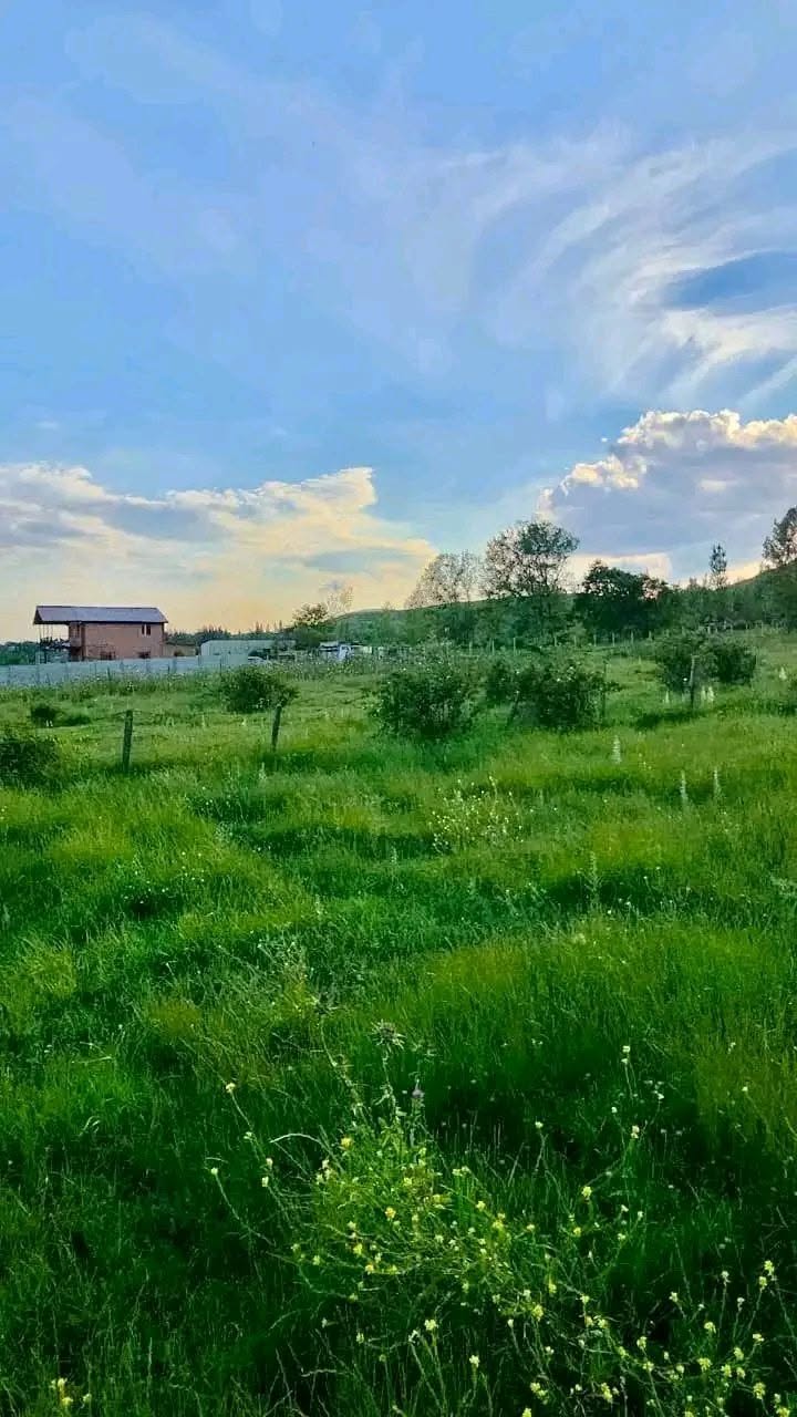 Torpaq sahəsi, Xelvaçaur — $25