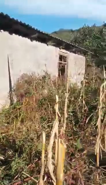 Torpaq sahəsi, Rustavi — $10,000