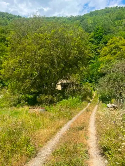 Տուն, Դուշեթի