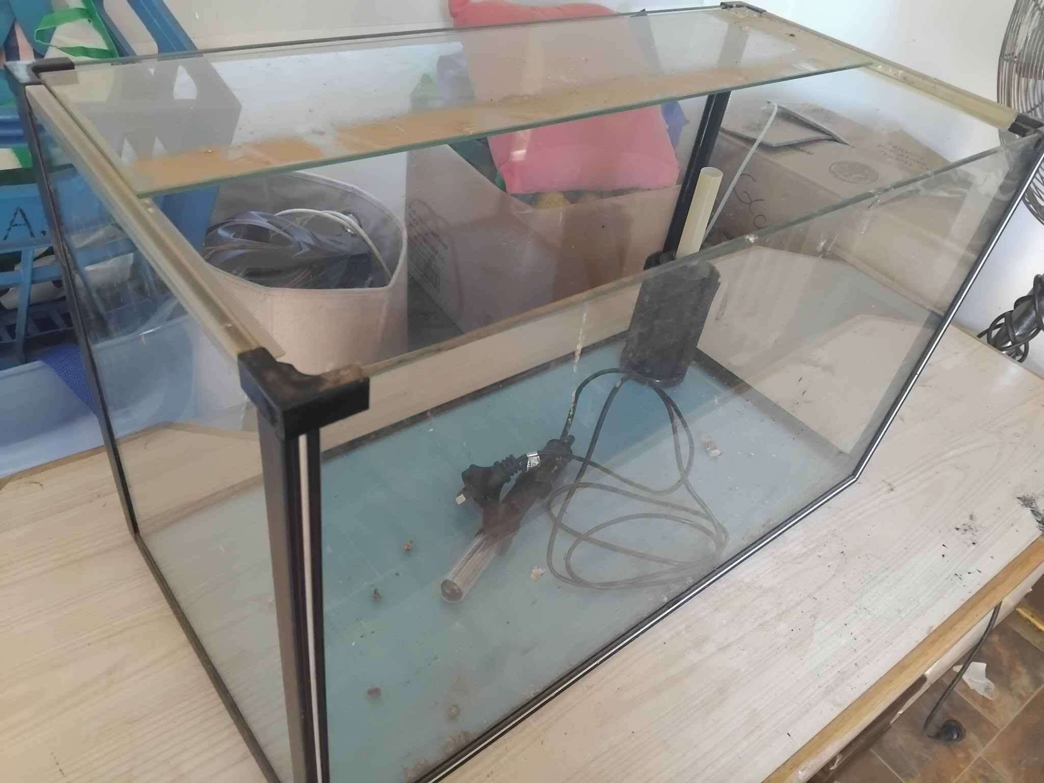 Medium fish tank with filter and heater
