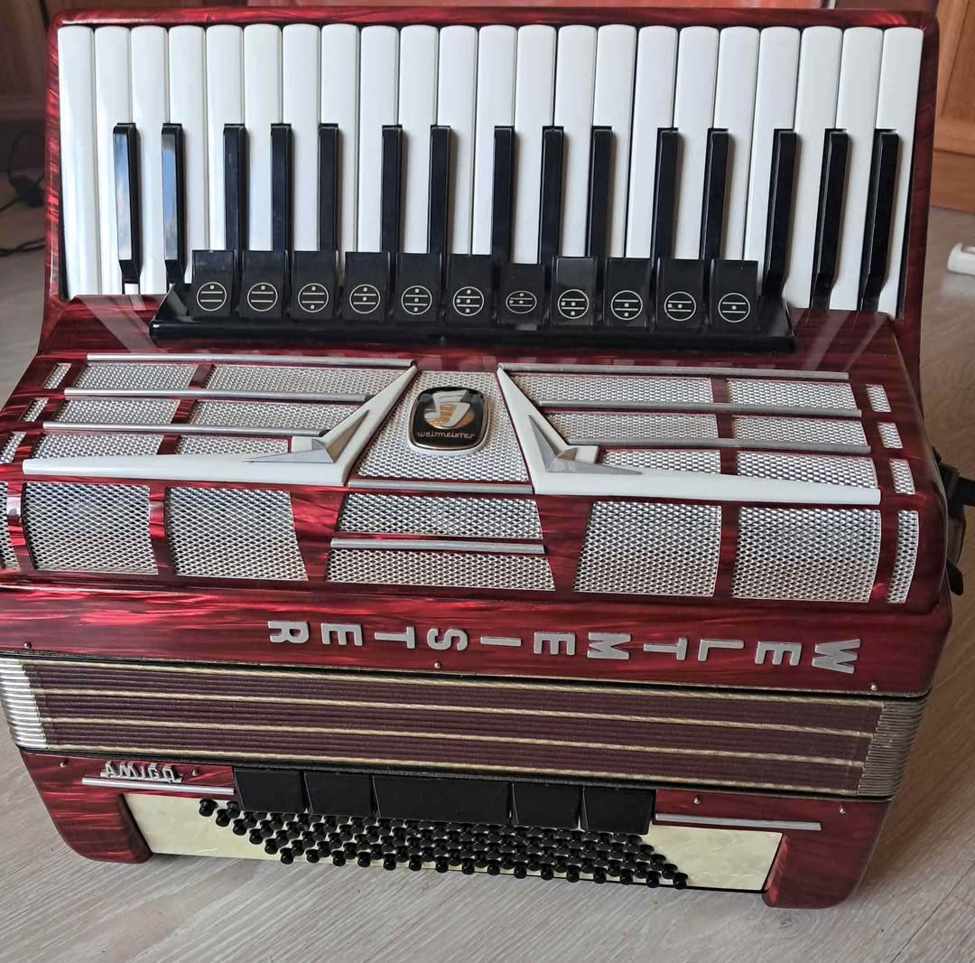 Musiqi alətləri