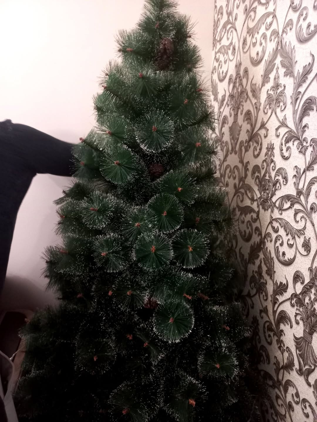 Տոնածառ, վաճառվում է