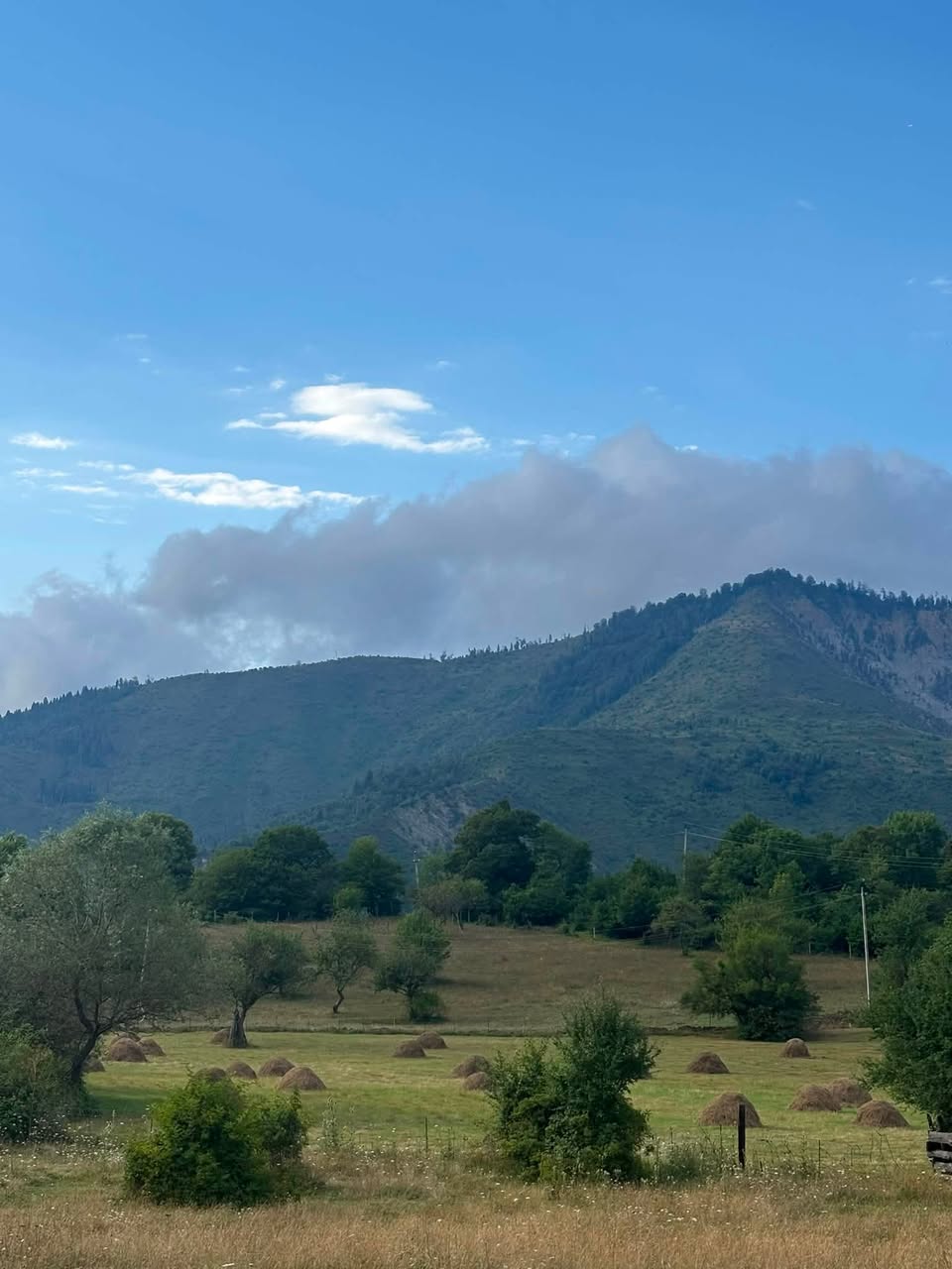 Arazi parçası, Borjomi — $40