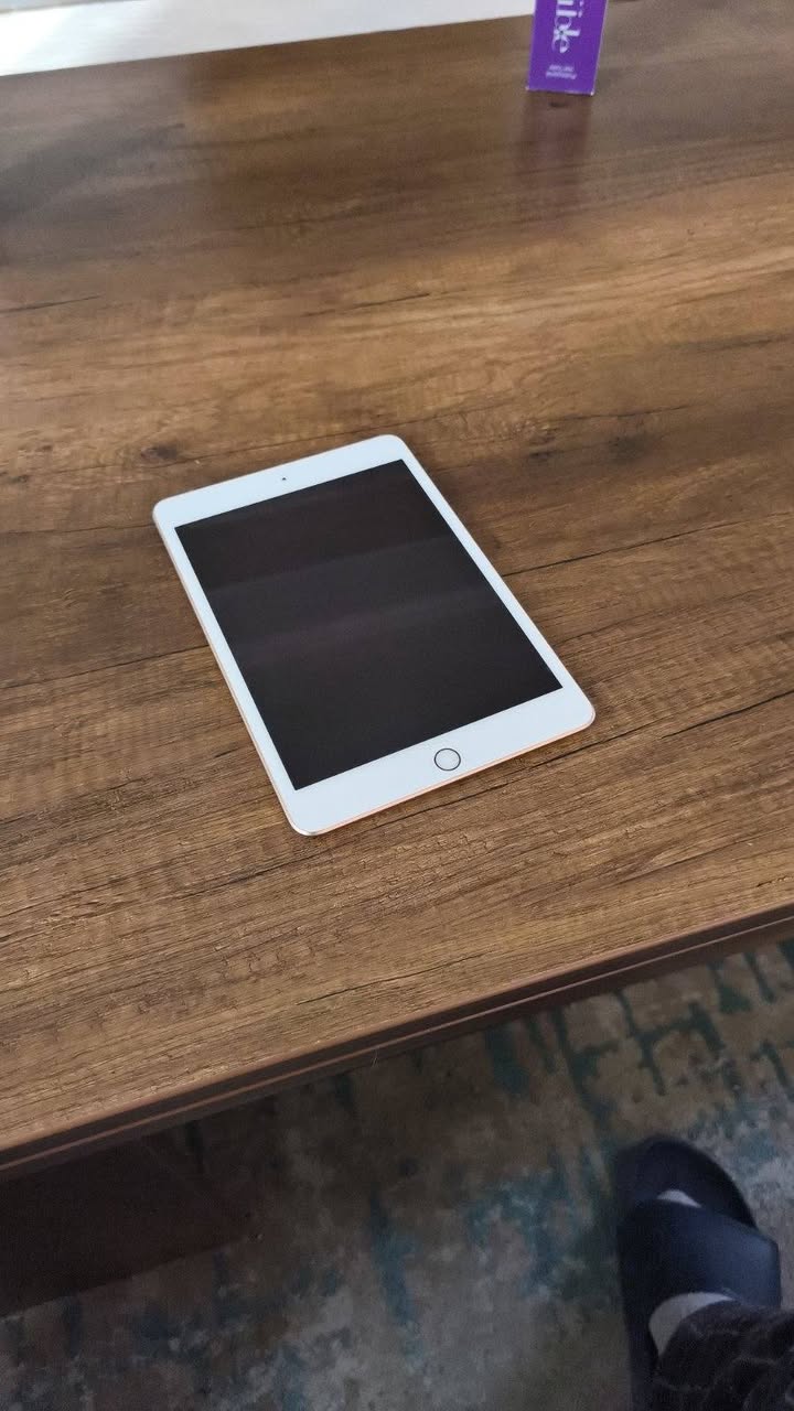 iPad Mini 5 64GB, battery 86%