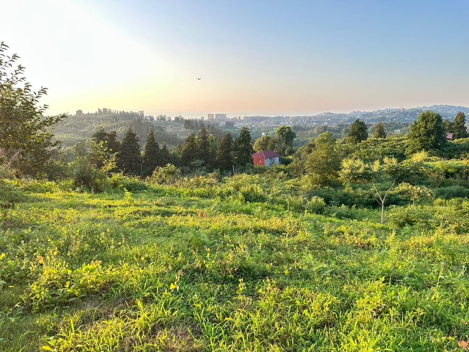 Torpaq sahəsi, Xelvaçauri
