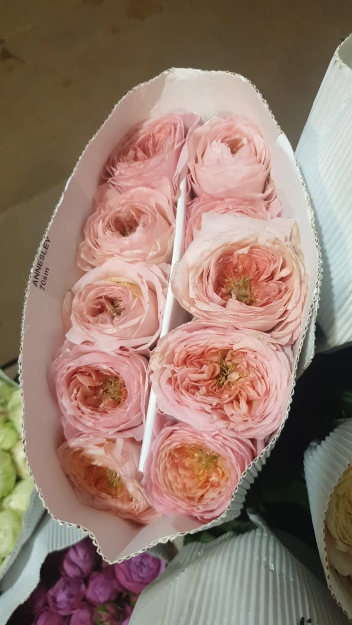 Hello we received a new batch of flowers