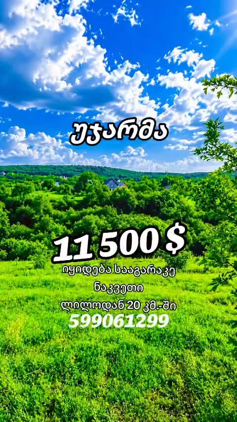 🌿 უჯარმაში იყიდება მიწის ნაკვეთი ! — 11,500$