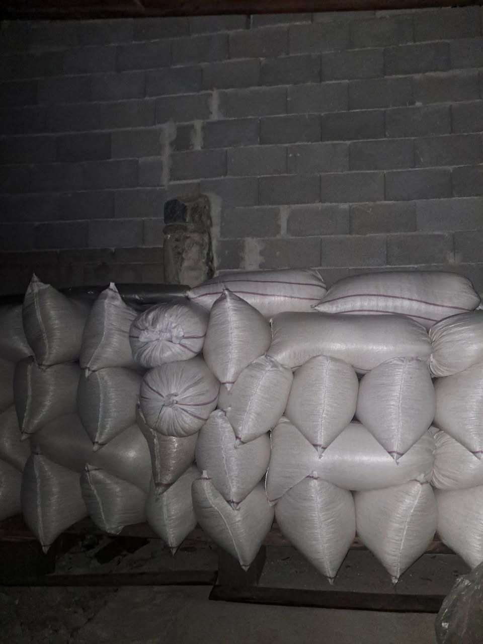 White corn is sold in Lagodekhi district at a price