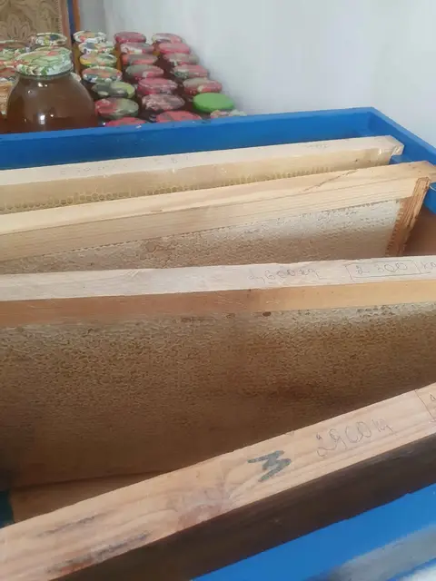 Dağ çayırlarının saf çiçek balı