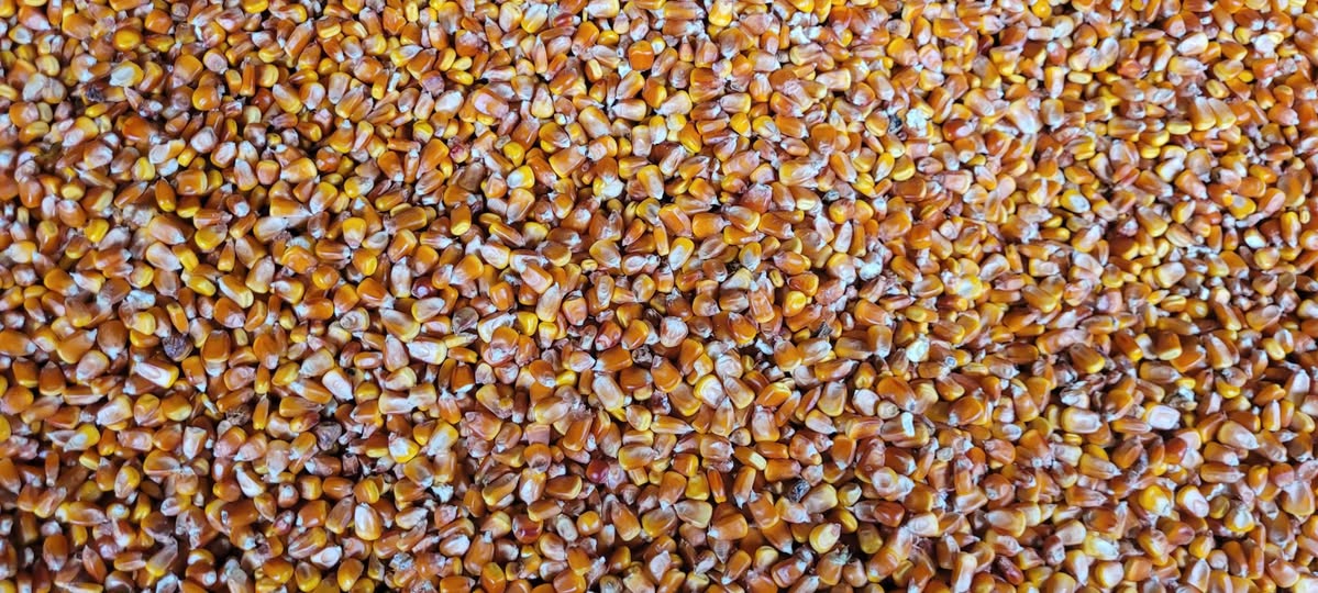 İyotlu simit 70 - 0.7₾