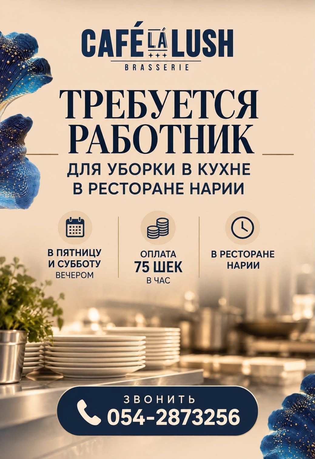 CAFÉ!ALUSH CAFÉ! LUSH BRASSERIE İŞÇİ ARANIYOR