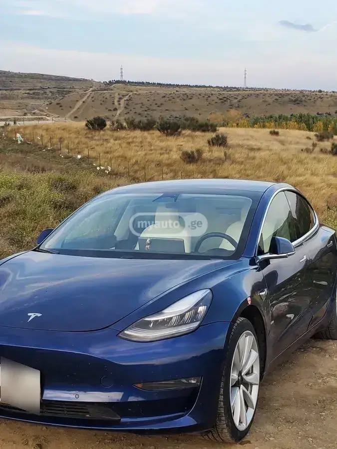 Tesla Model 3 2019