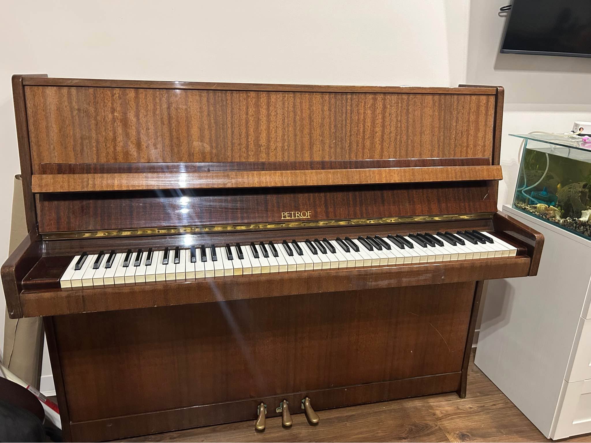 Petrov Fortepiano yaxşı, Digm massiv Petof