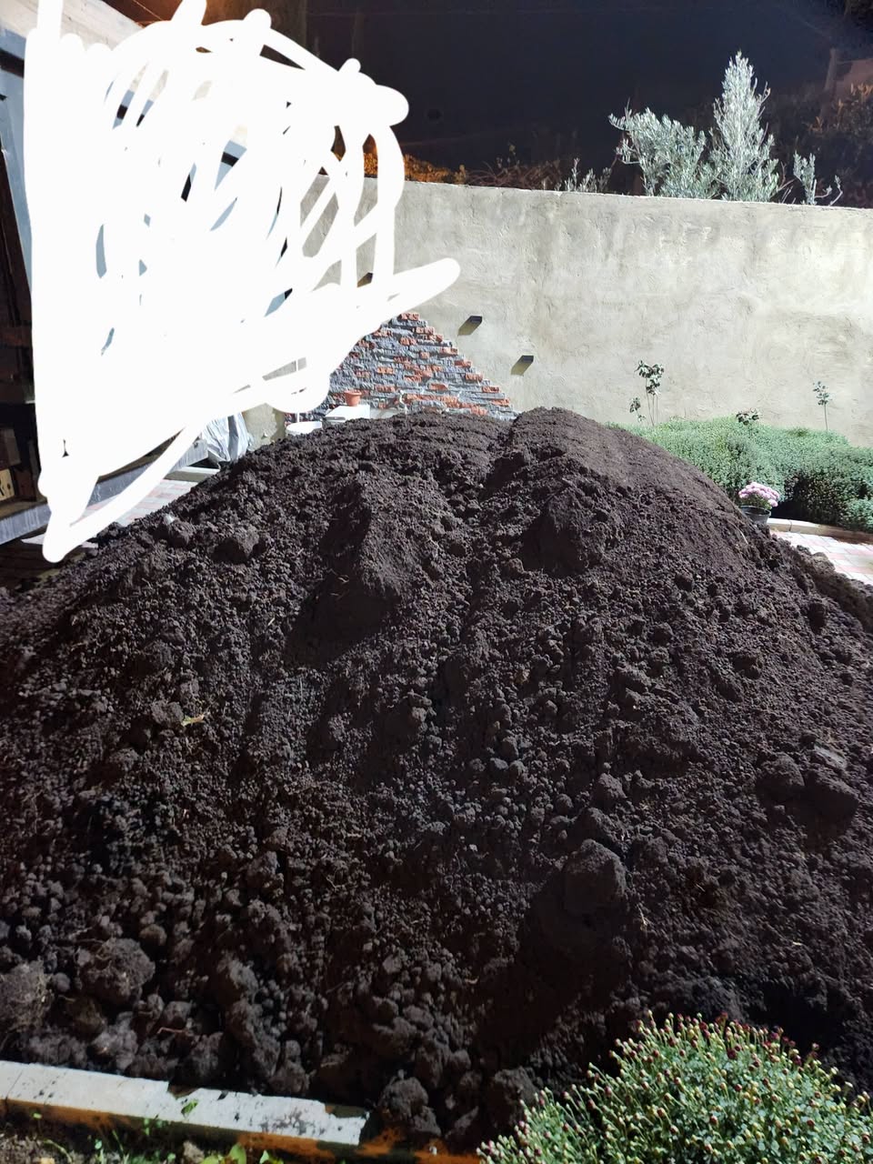 🌱 Meşənin qara, məhsuldar torpağı! 🌱