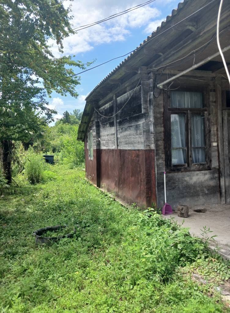 50 thousand lari in Ozurgeti village Nagobilevi