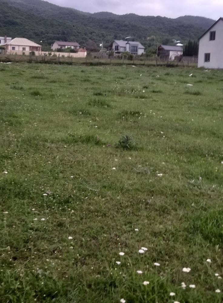 Satılık yazlık arazi Düsheti bölgesinde