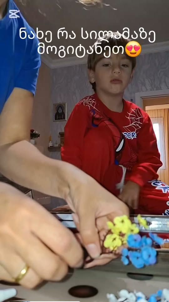 ✨ გამორჩეული სილამაზე თქვენი ინტერიერისთვის 💙🌸