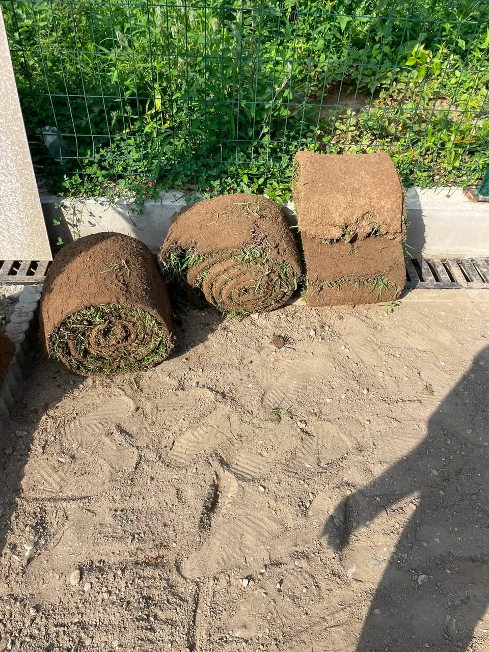 ⛳️⛳️⛳️həmişəyaşıl rulonlu kordun qurulması ☎️☎️✅✅✅