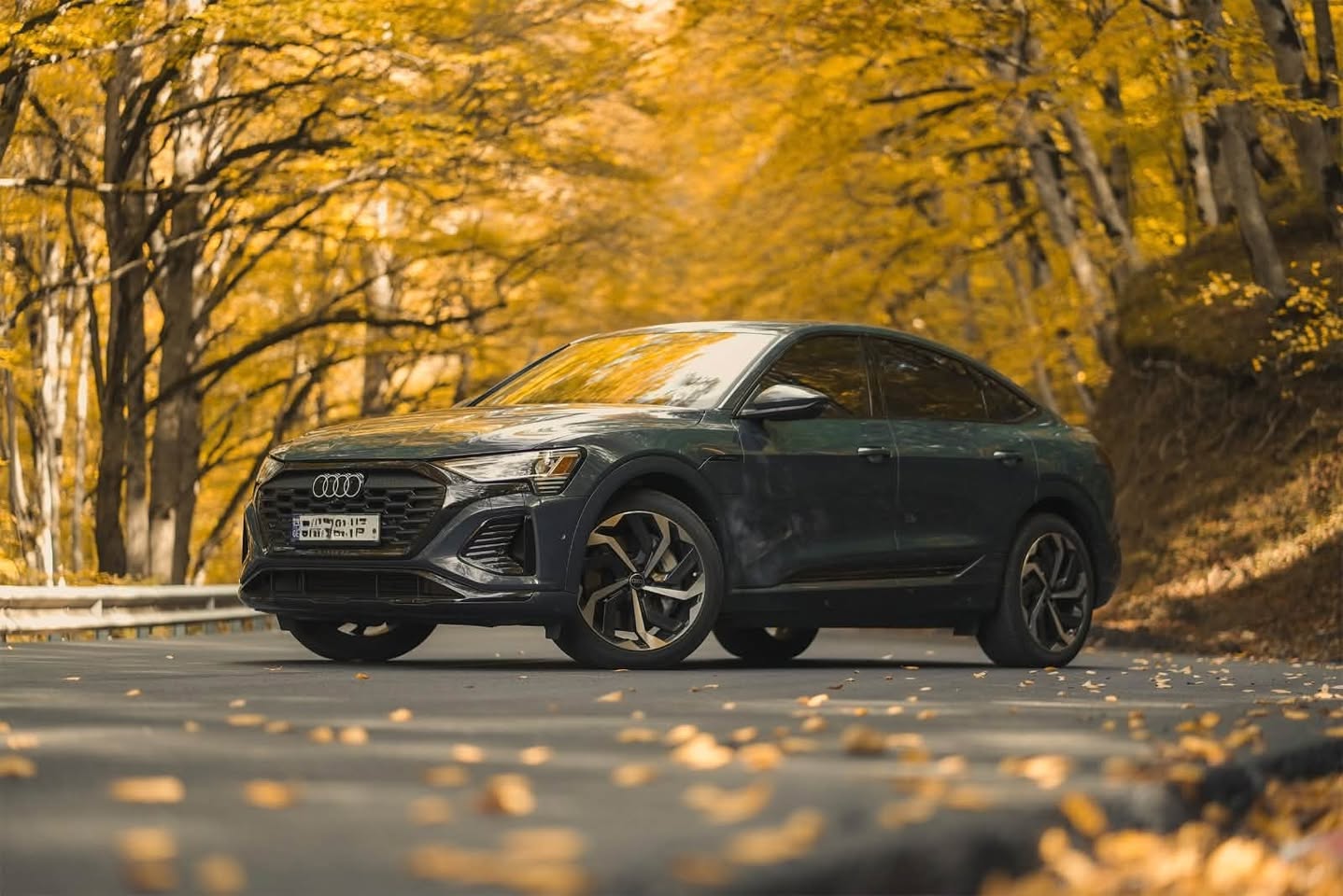 იყიდება 2024 წლის Audi Q8 e-tron
