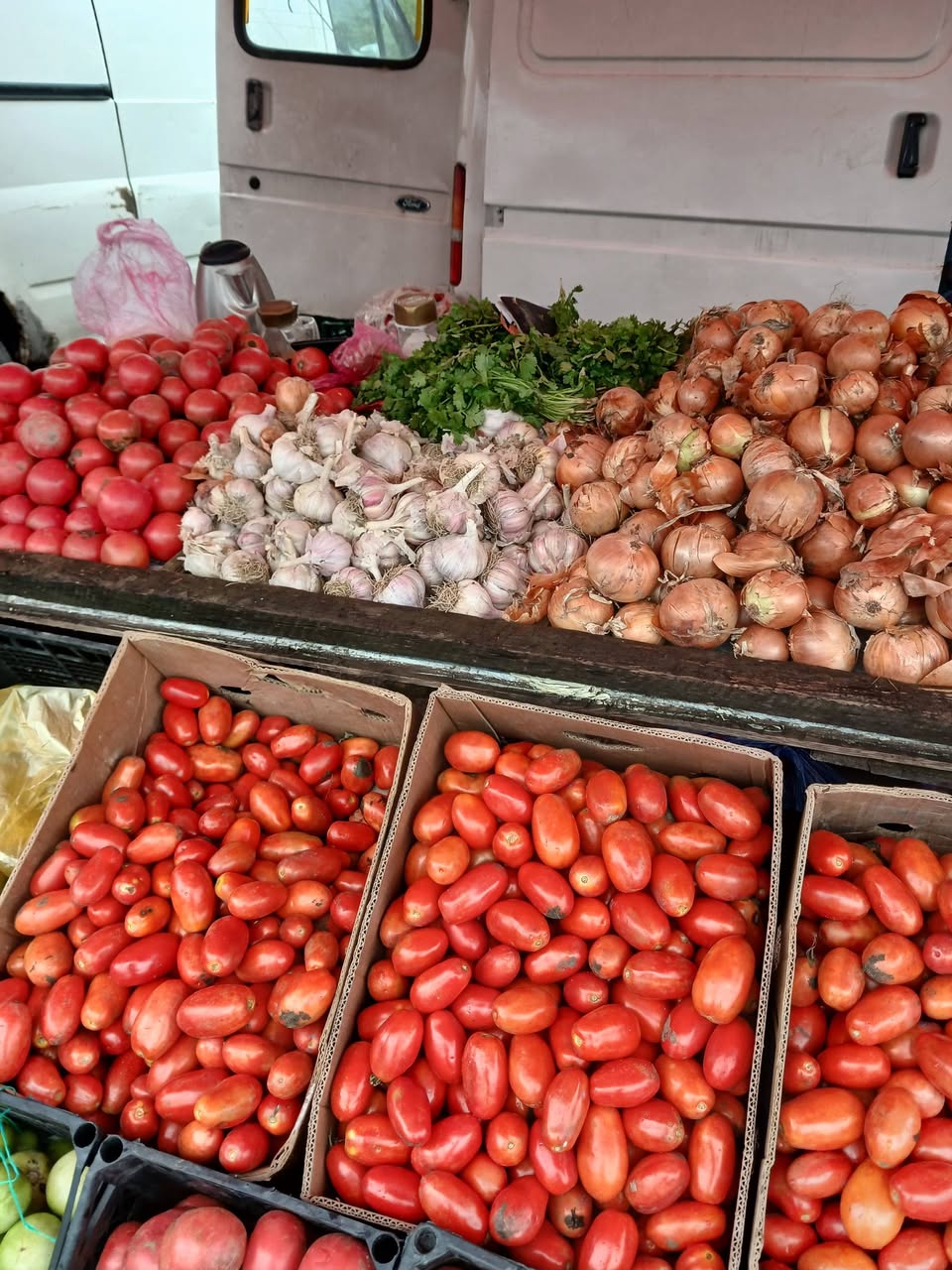 There are 12 boxes of tomatoes called Slipka, 5