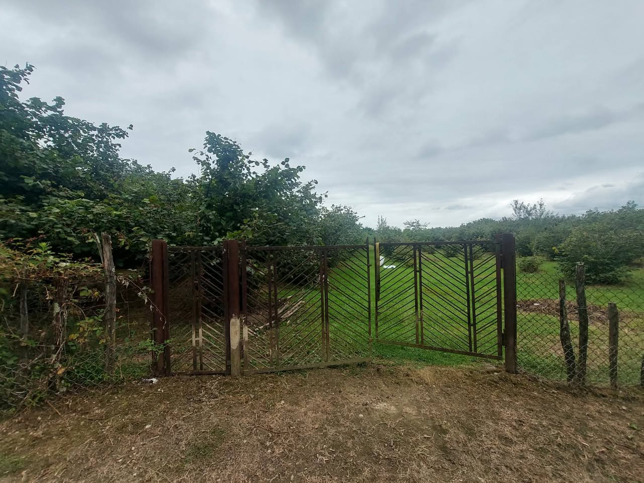 იყიდება სამეურნეო სამოსახლო მიწის ფართობი მეექვსე
