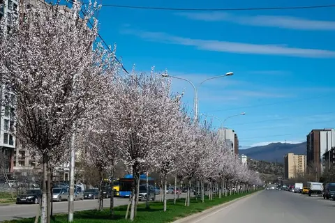 💛 დიდ დიღომში, კერძო საბავშვო ბაღში