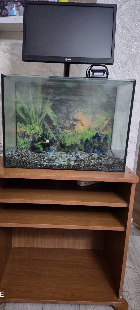 🐠 70 litrlik akvarium satılır