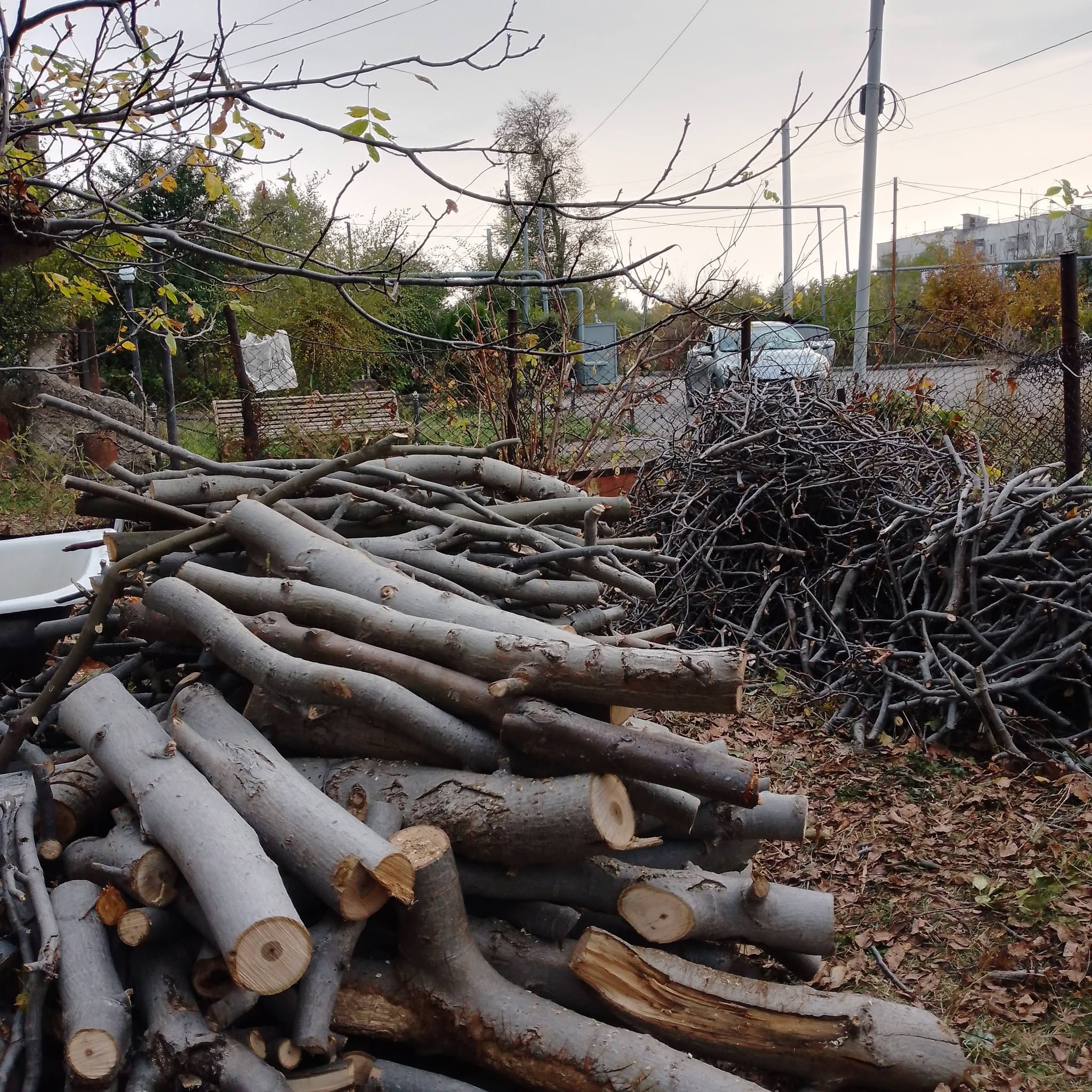 Firewood for sale