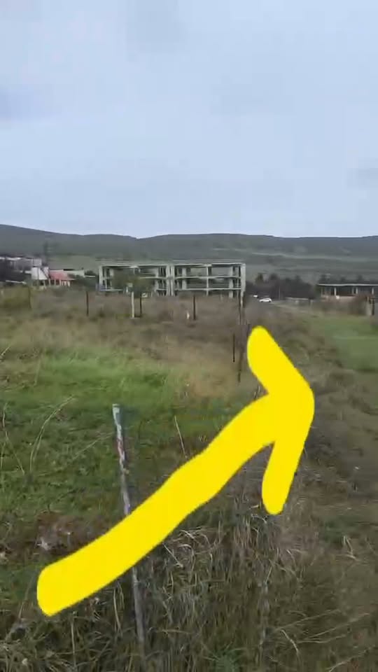 Վաճառվում է բնակարան, Թբիլիսի